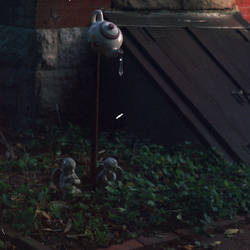 SF8 processed - Fri Mar 10 21-55-10 2023.jpg