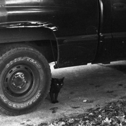 SF8 processed - Sat Mar 11 01-30-52 2023.jpg