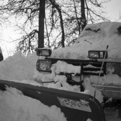 SF8 processed - Thu Mar 23 17-58-33 2023.jpg